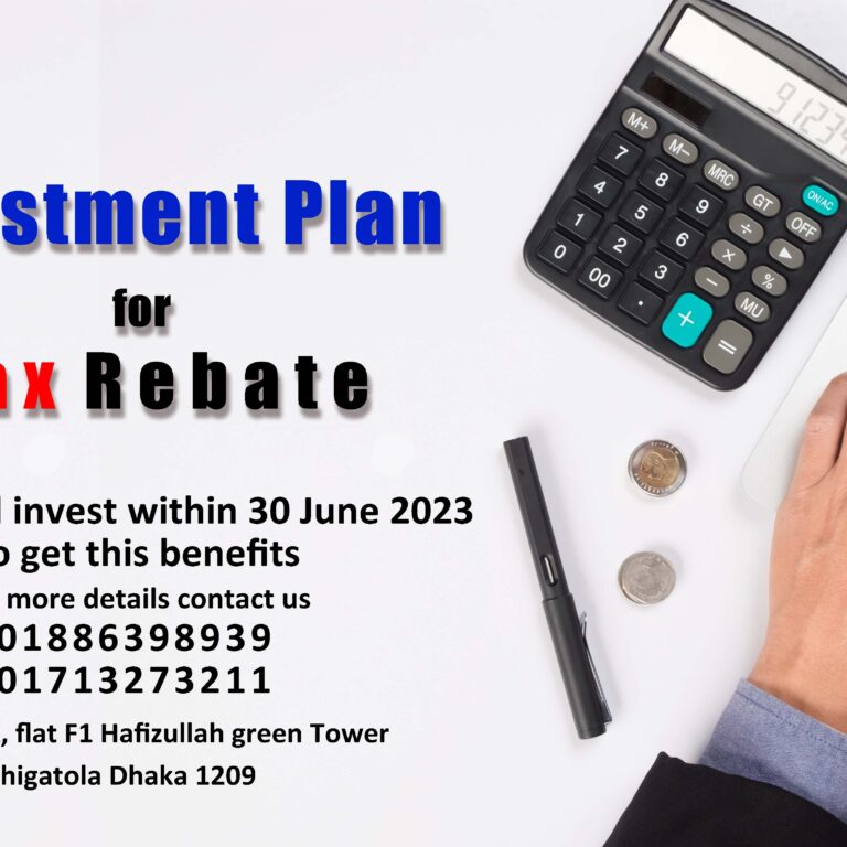 Investment Plan for Tax Rebate