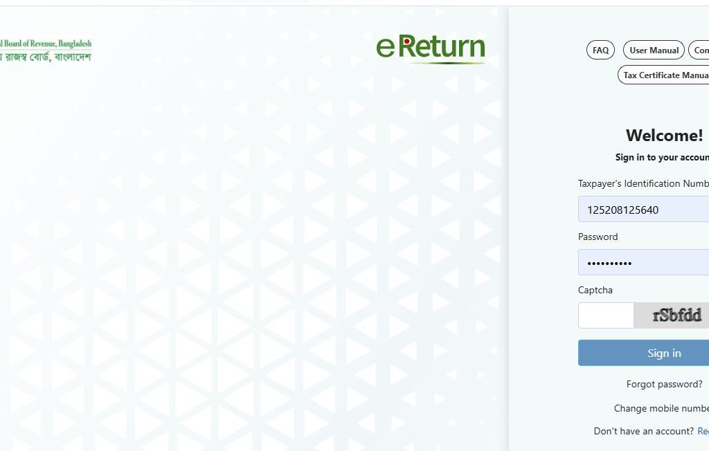 Online Tax Return